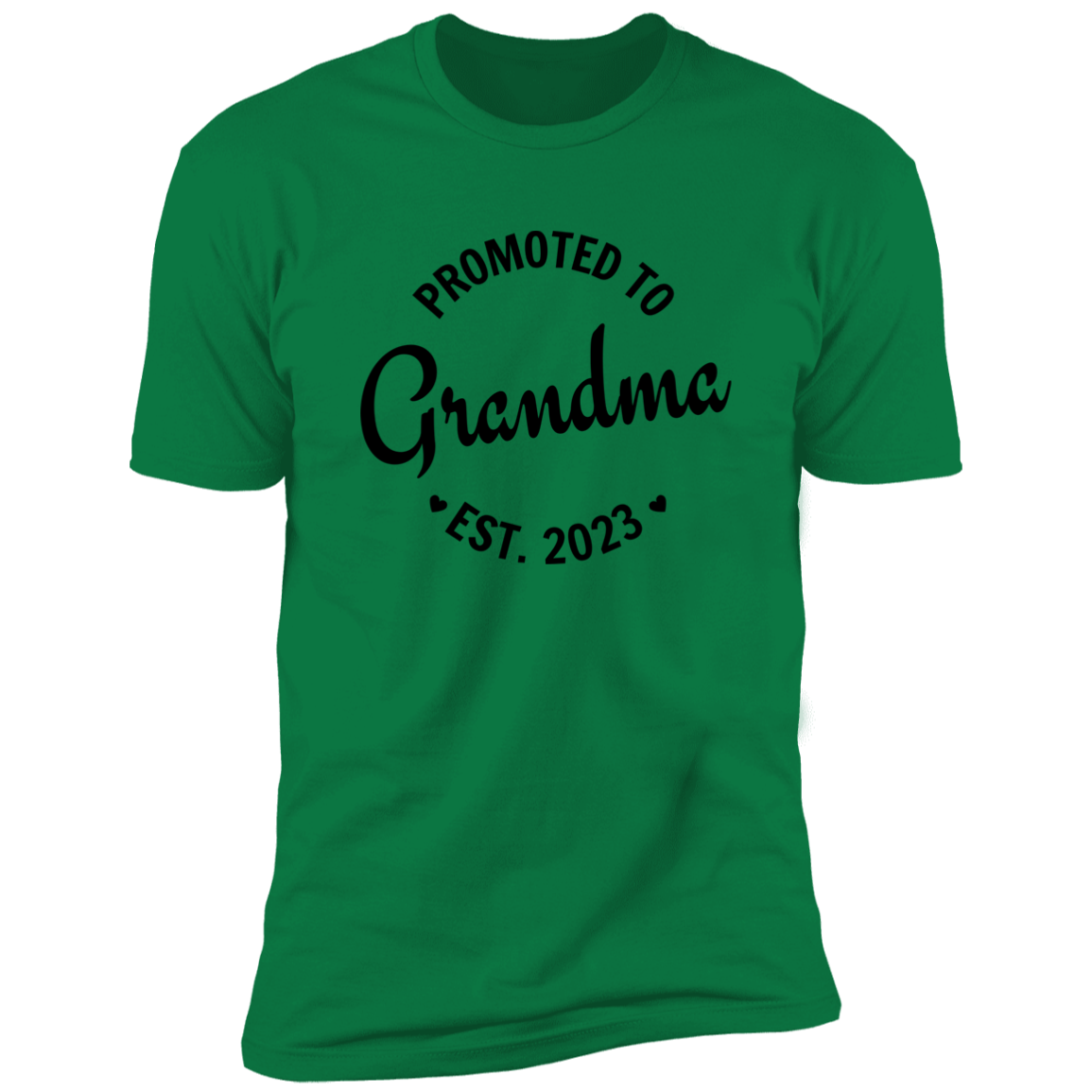 Promoted to Grandma 2023 Women's New Grandma Reveal Premium T-Shirt