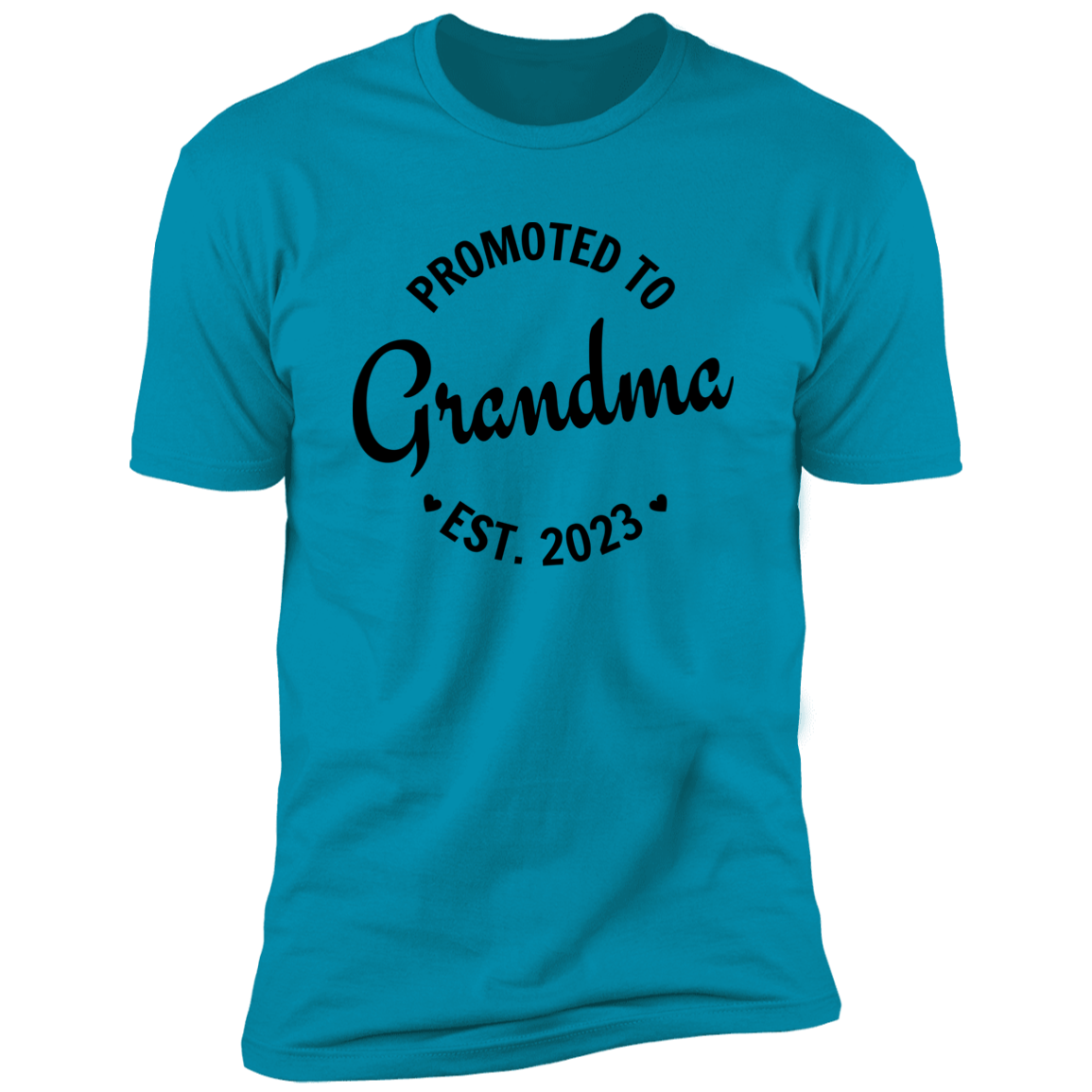 Women's Promoted to New Grandma Customized Premium Short Sleeve T-Shirt